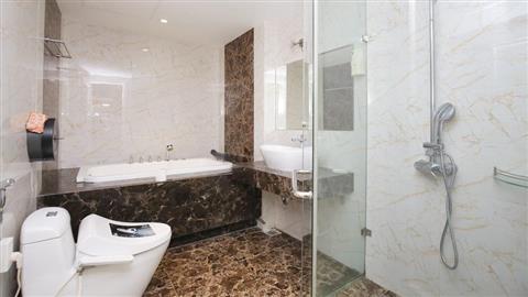 Guest bathroom