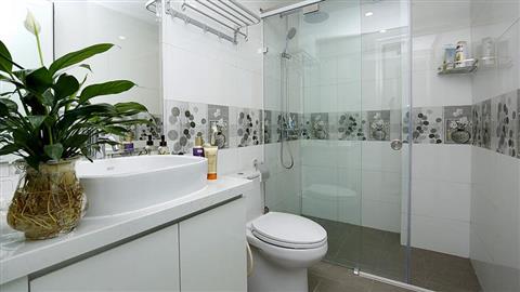 Guest bathroom