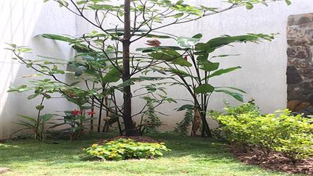 unique  character 04 bedroom house for rent in tay ho 19 82805